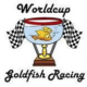 DIY - Goldfish Race fundraiser!
